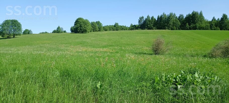 Miera iela, Prezma, Rēzekne un raj., Silmalas pag. — zeme