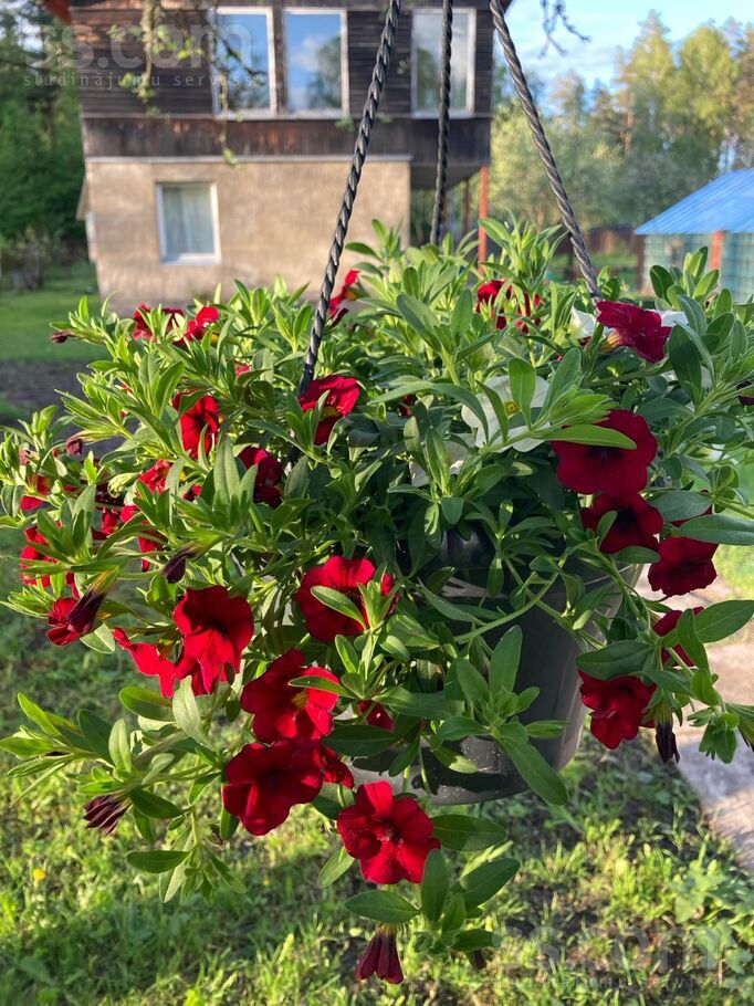 Saulītes 63, Valmiera un raj., Brenguļu pag. — maja