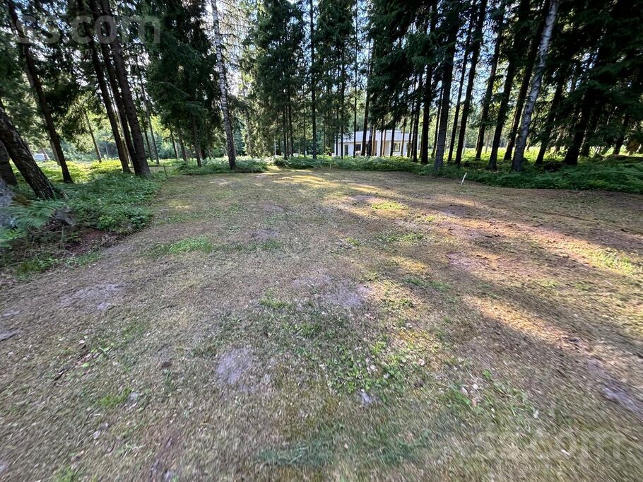 Muižas iela 11, Rīgas rajons, Saulkrasti — zeme