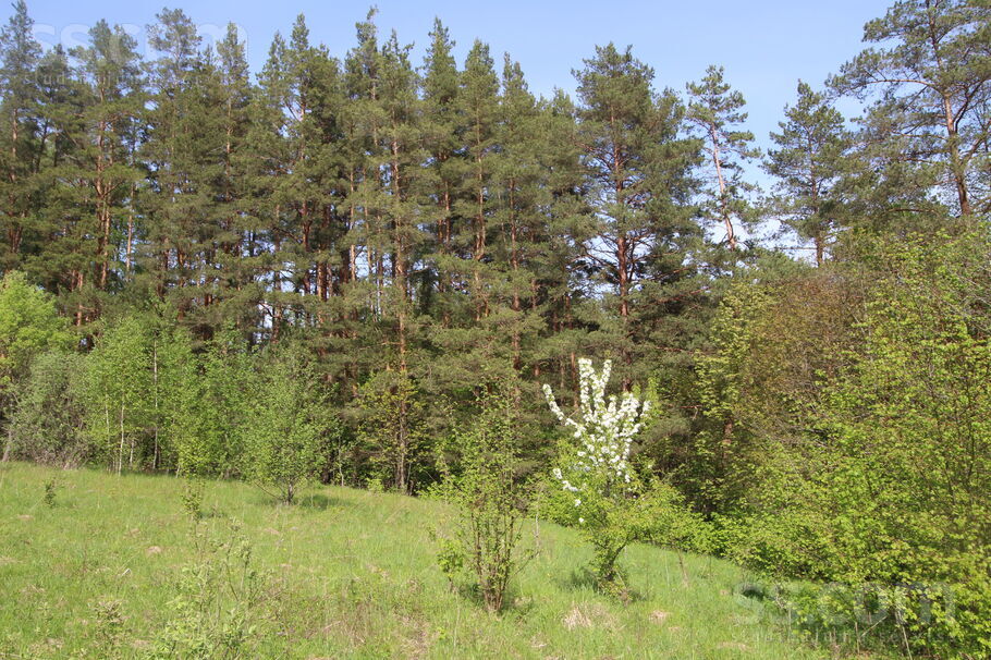 Kāši-Ventas, Daugavpils un raj., Medumu pag. — zeme