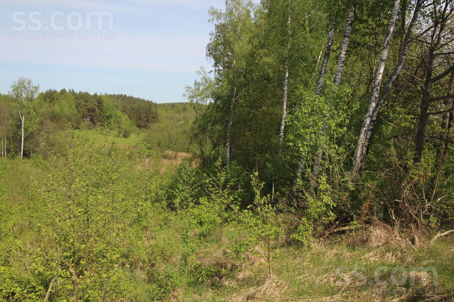 Kāši-Ventas, Daugavpils un raj., Medumu pag. — zeme