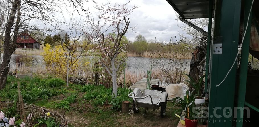 Lauku teritorija 86, Jelgava un raj., Kalnciems — maja