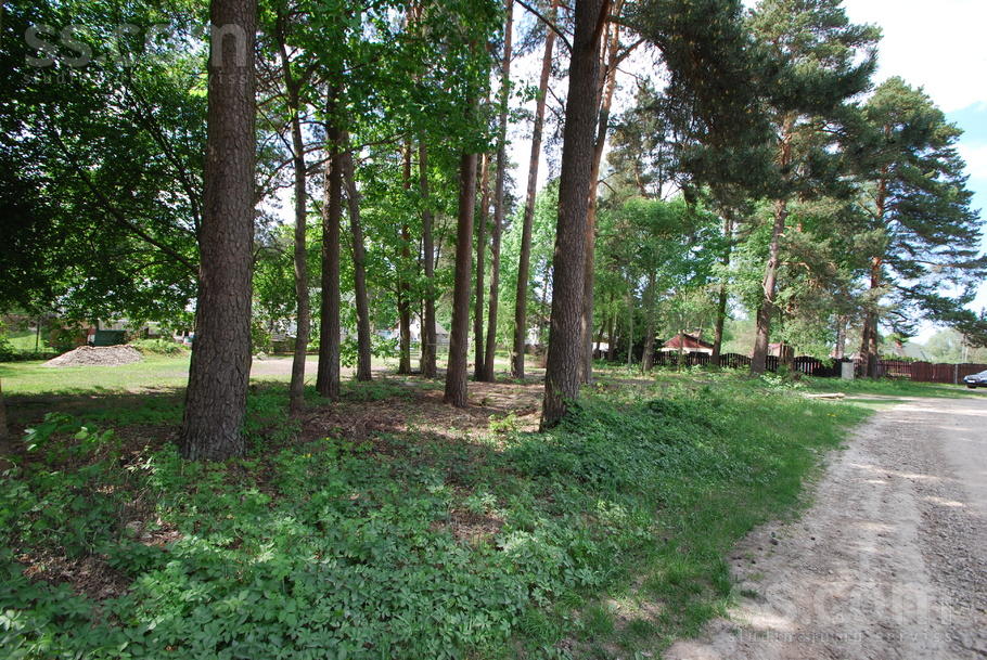 Vējavas iela 28, Ādaži, Rīgas rajons, Ādažu nov. — zeme