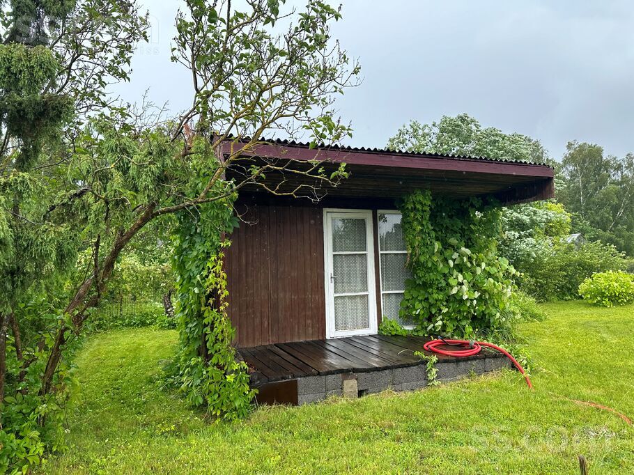 Vasarnīca 823 823, Ziedi, Aizkraukle un raj., Sērenes pag. — maja