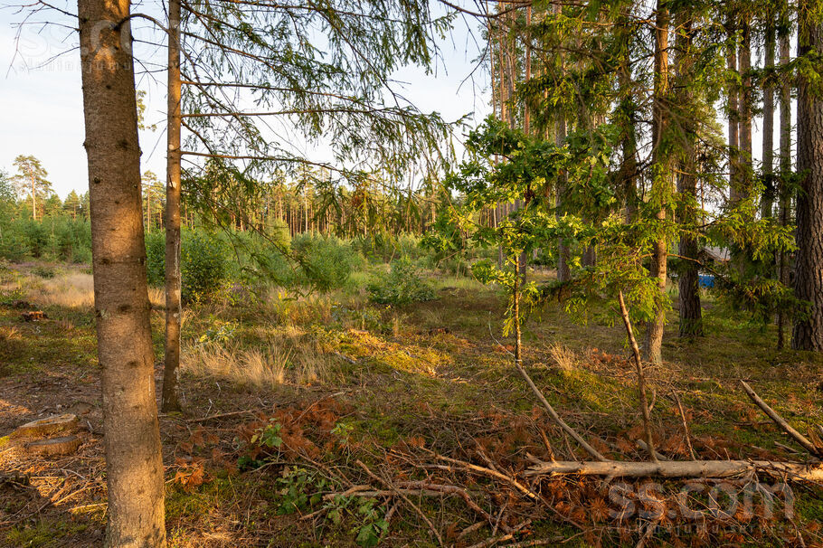 Mellenes, Inčukalns, Rīgas rajons, Inčukalna nov. — zeme