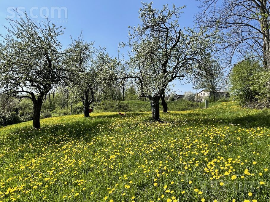 Ošu iela 14, Bauska un raj., Bauska — zeme