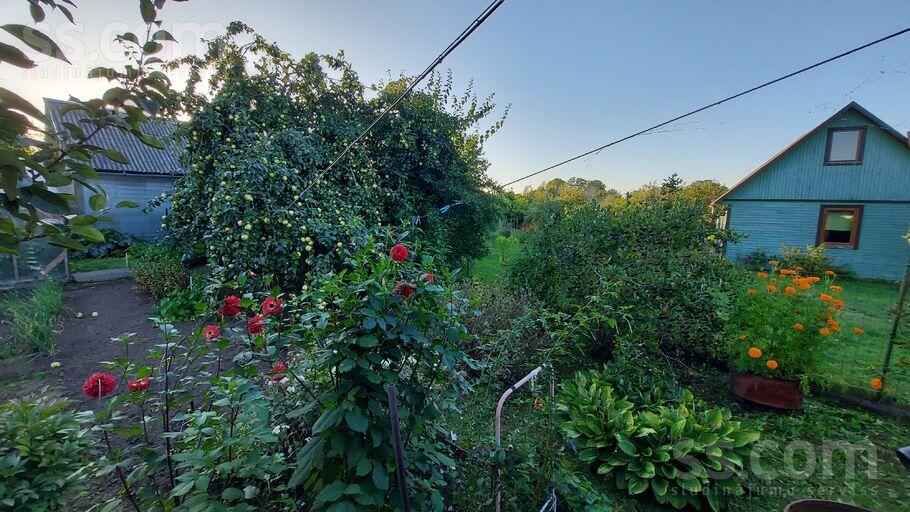 Domes, Preiļi un raj., Līvāni — maja