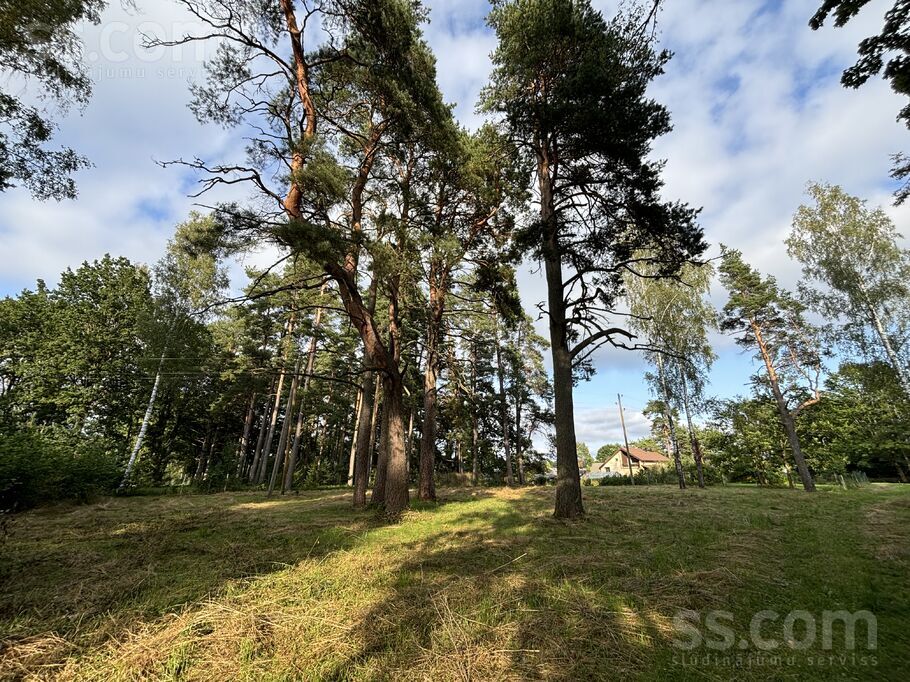 Kalna iela 62a, Skrīveri, Aizkraukle un raj., Skrīveru pag. — zeme