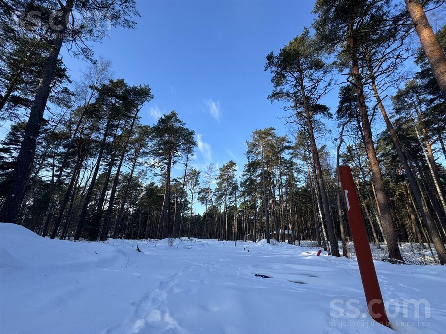 Rīgas iela 82b, Rīgas rajons, Saulkrasti — zeme