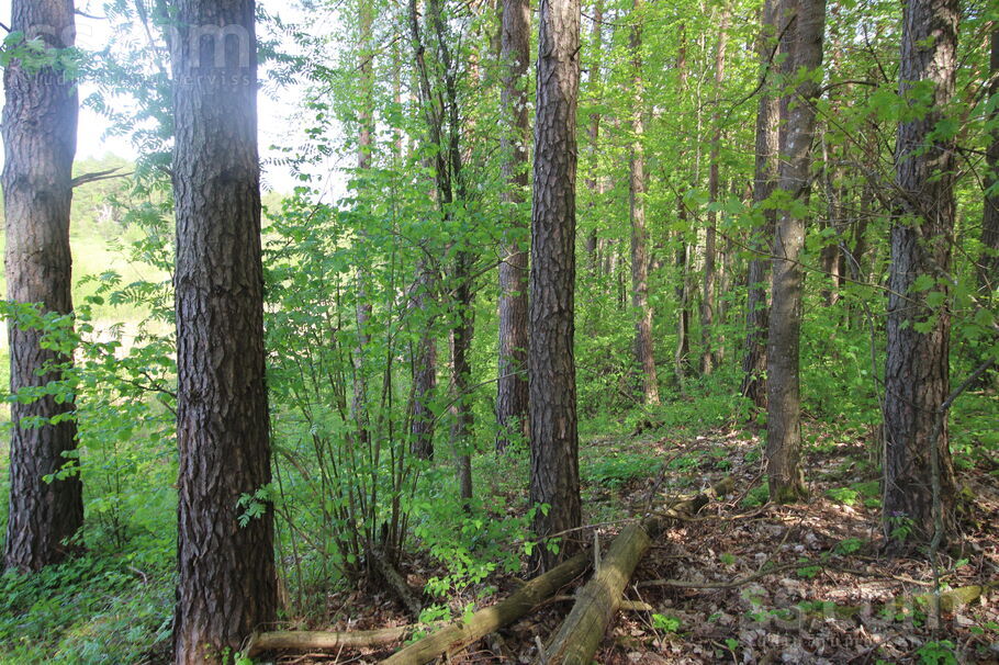 Kāši-Ventas, Daugavpils un raj., Medumu pag. — zeme