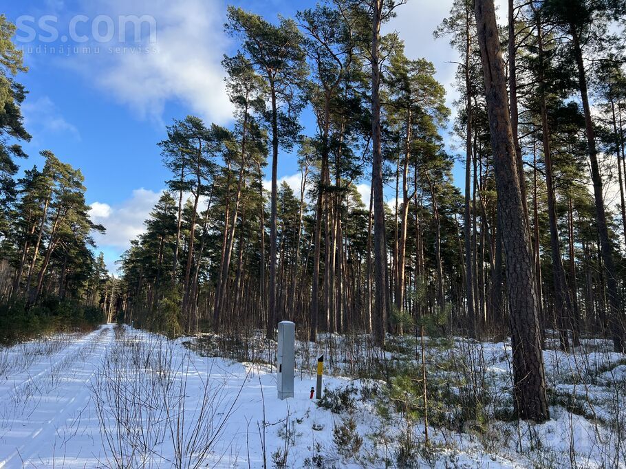 Alīses ceļš 11, Spuņciems, Rīgas rajons, Salas pag. — zeme