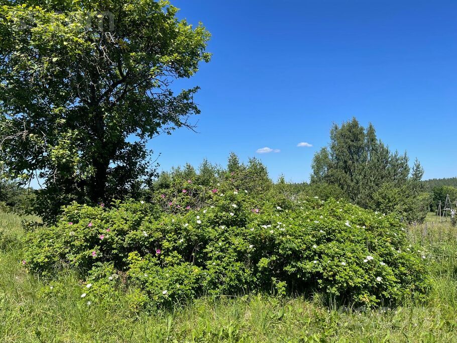 Ribački, Krāslava un raj., Kastuļinas pag. — vienseta