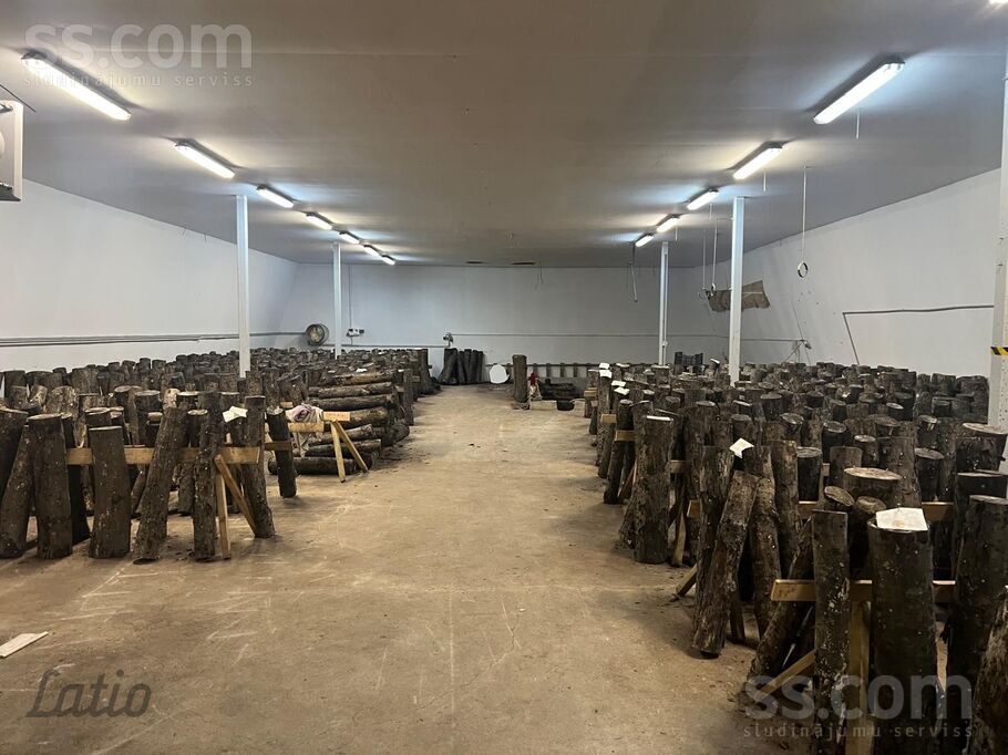 Nākotnes iela, Skujene, Cēsis un raj., Skujenes pag. — telpa