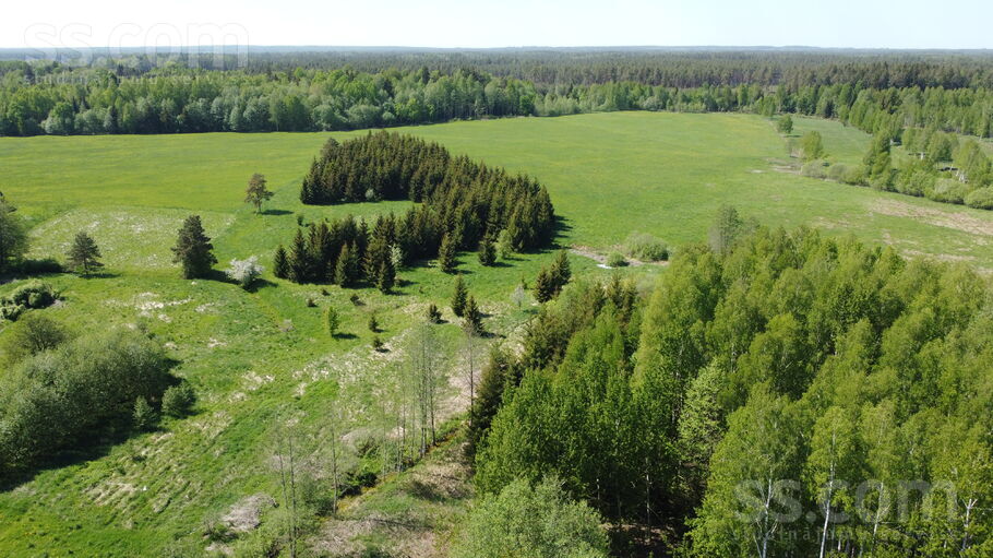 Dižozoliņi, Usma, Ventspils un raj., Usmas pag. — zeme