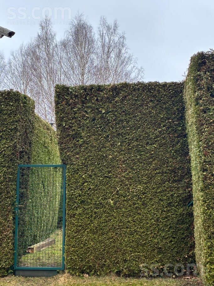 Baļķu 5, Jūrmala — maja