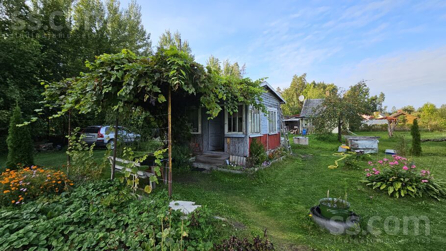 Mežvidi 36, Jelgava un raj., Jelgava — maja