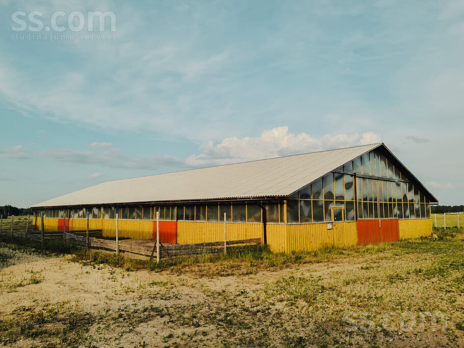 Saules, Vurpuļi, Ludza un raj., Nirzas pag. — zeme