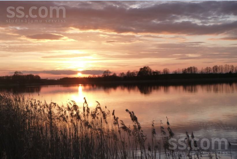 Bruņene, Daugavpils un raj., Skrudalienas pag. — vienseta