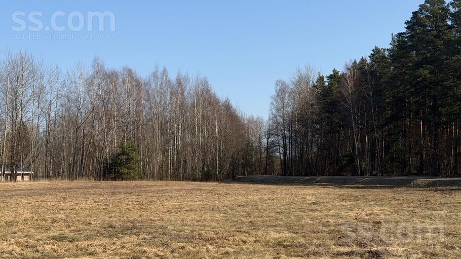 Kleist iela, Babīte, Rīgas rajons, Babītes pag. — zeme