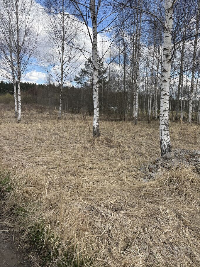 D/s liesma 108, Brodi, Jēkabpils un raj., Ābeļu pag. — zeme