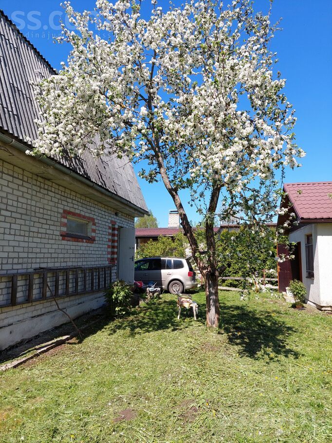 Misa 119, Misas, Rīgas rajons, Ķekavas pag. — maja