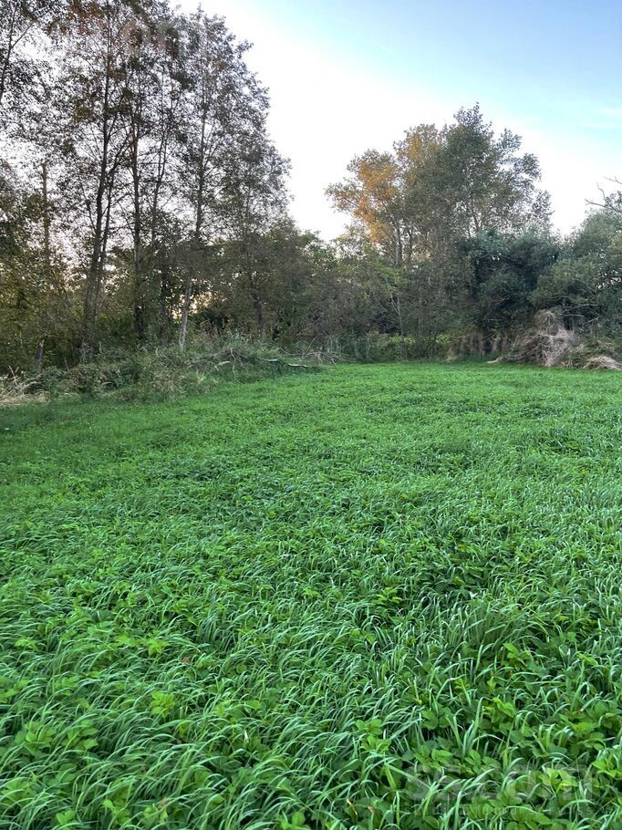 Jeņči, Rīgas rajons, Ķekavas pag. — zeme