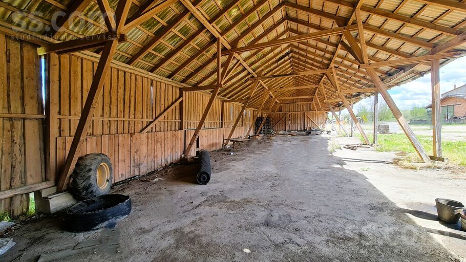 Dāboliņi b/n, Cēsis un raj., Raunas pag. — telpa