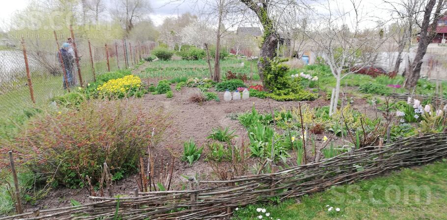 Lauku teritorija 86, Jelgava un raj., Kalnciems — maja