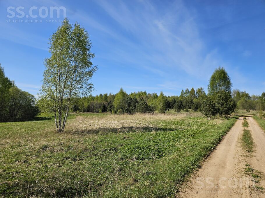 Ūzuliški, Rēzekne un raj., Lūznavas pag. — vienseta