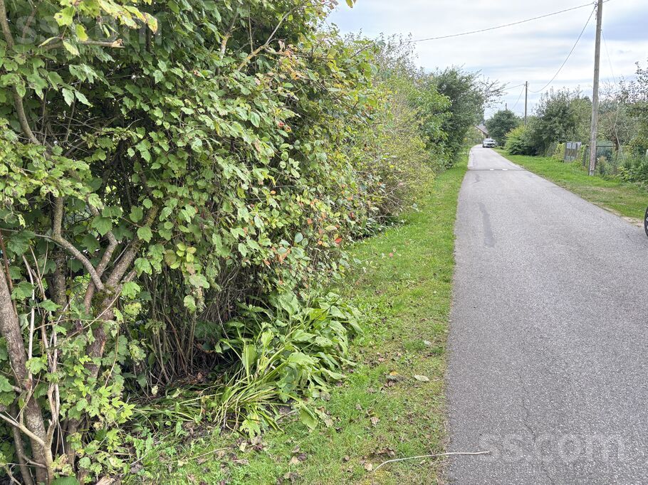 Ezitis 248, Rīgas rajons, Olaine — maja