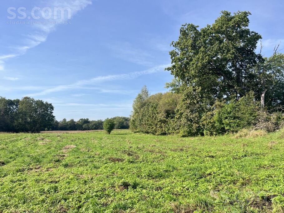 Lazdaiņi, Viļuši, Daugavpils un raj., Naujenes pag. — zeme