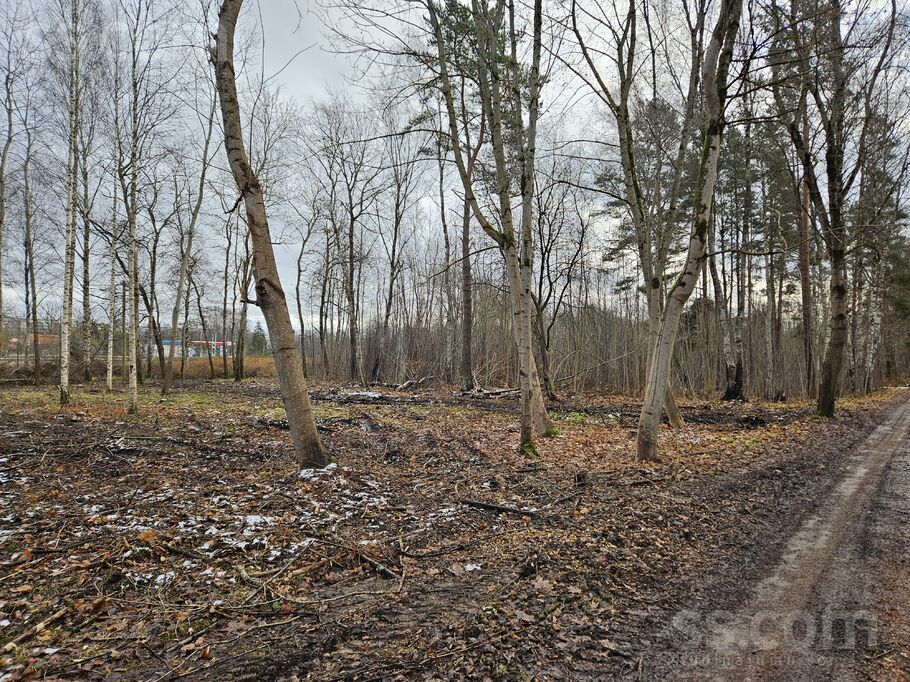 Ulmaņa g. bn, Rīga — zeme