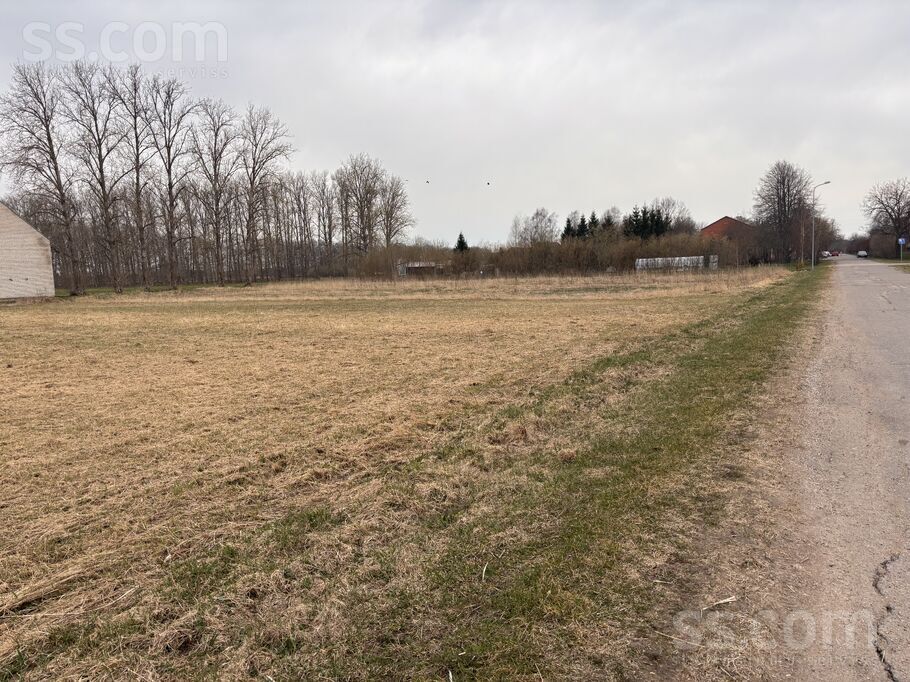 Lefkojas, Zūras, Ventspils un raj., Vārves pag. — zeme