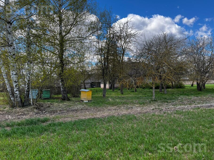 Zaķīši, Eleja, Jelgava un raj., Elejas pag. — maja