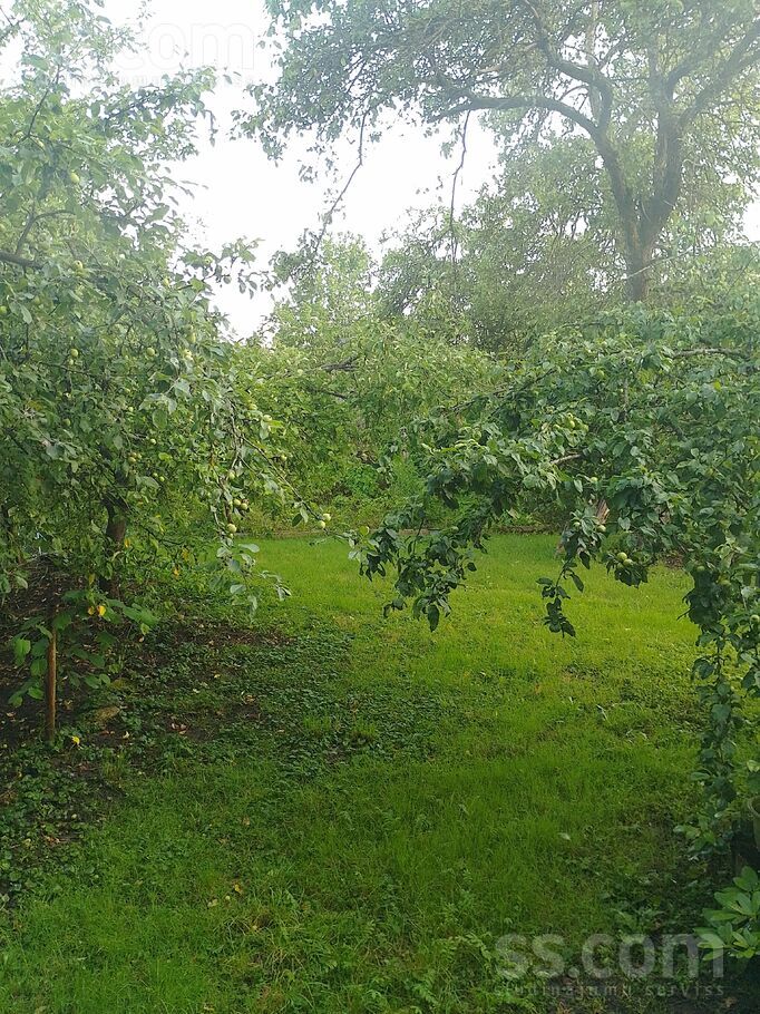 Darzinu2.skerslinija 7, Ogre un raj., Ogre — maja