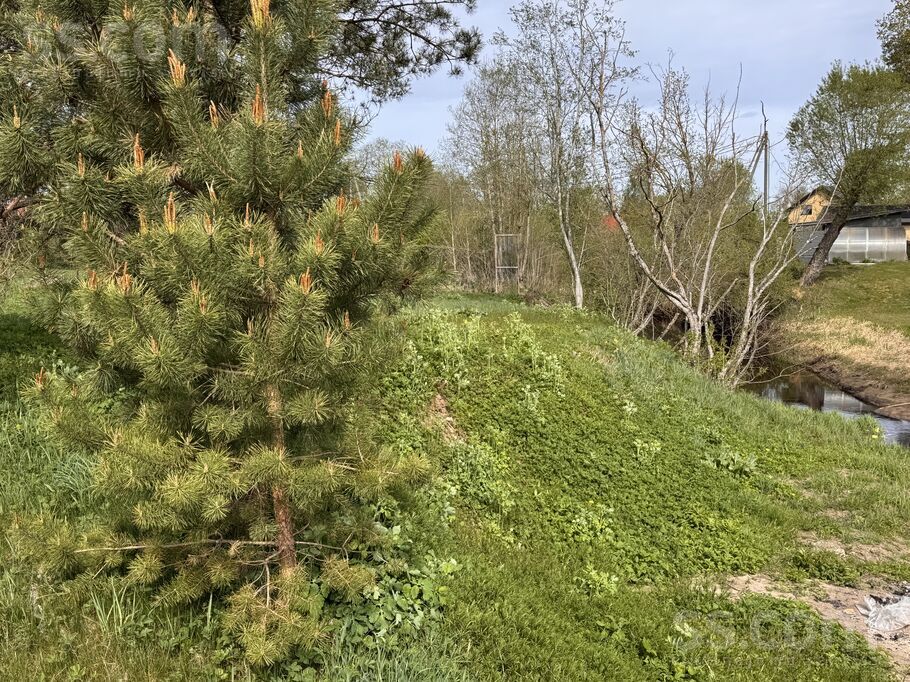 Vecozolu iela 13, Ķekava, Rīgas rajons, Ķekavas pag. — zeme