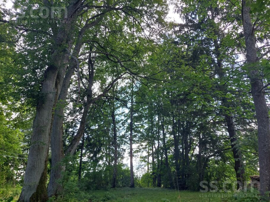 Piestātnes 12, Liepāja un raj., Aizpute — zeme