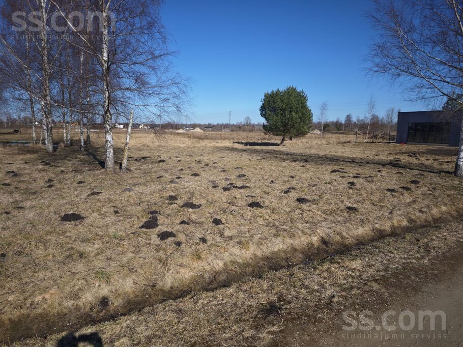 6 linija 18e, Jelgava un raj., Jelgava — zeme