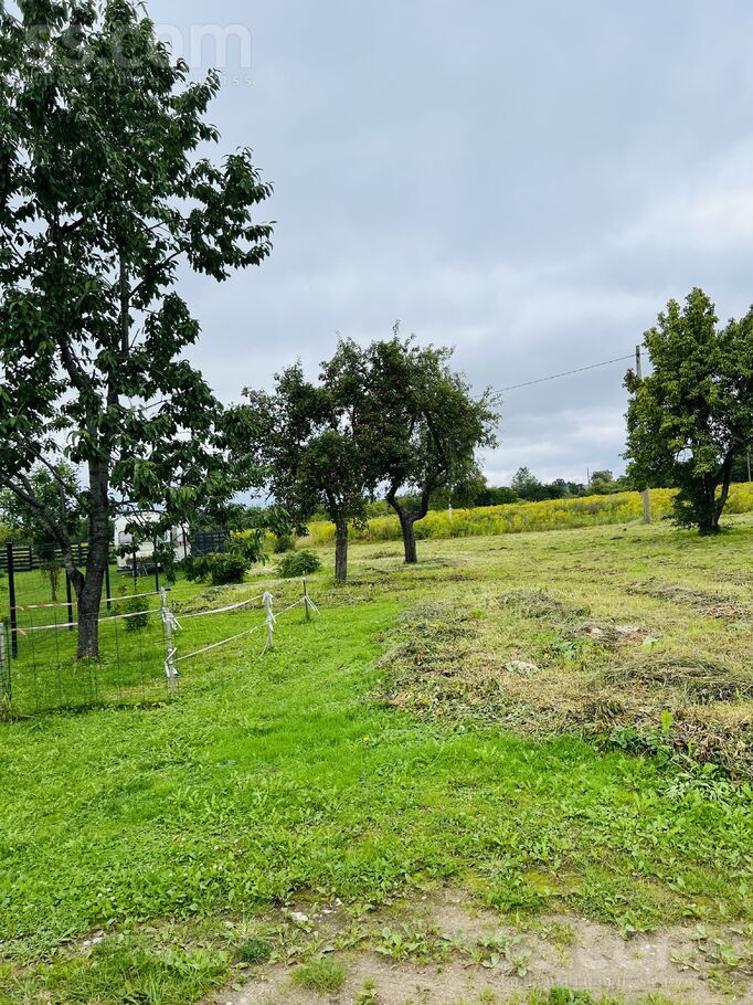 Lerha-Puškaiša 31a, Talsi un raj., Talsi — zeme