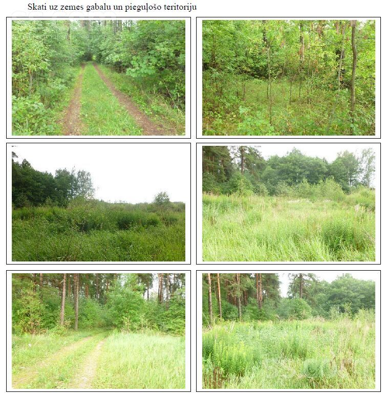 Romas iela 6, Amatnieki, Rīgas rajons, Garkalnes nov. — zeme