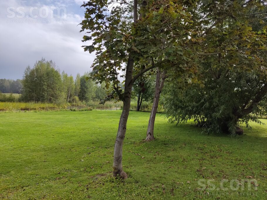 Vijolītes, Pāce, Talsi un raj., Dundagas pag. — maja