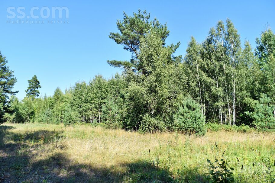 Laimes zeme, Jaunsils, Rīgas rajons, Ķekavas pag. — zeme