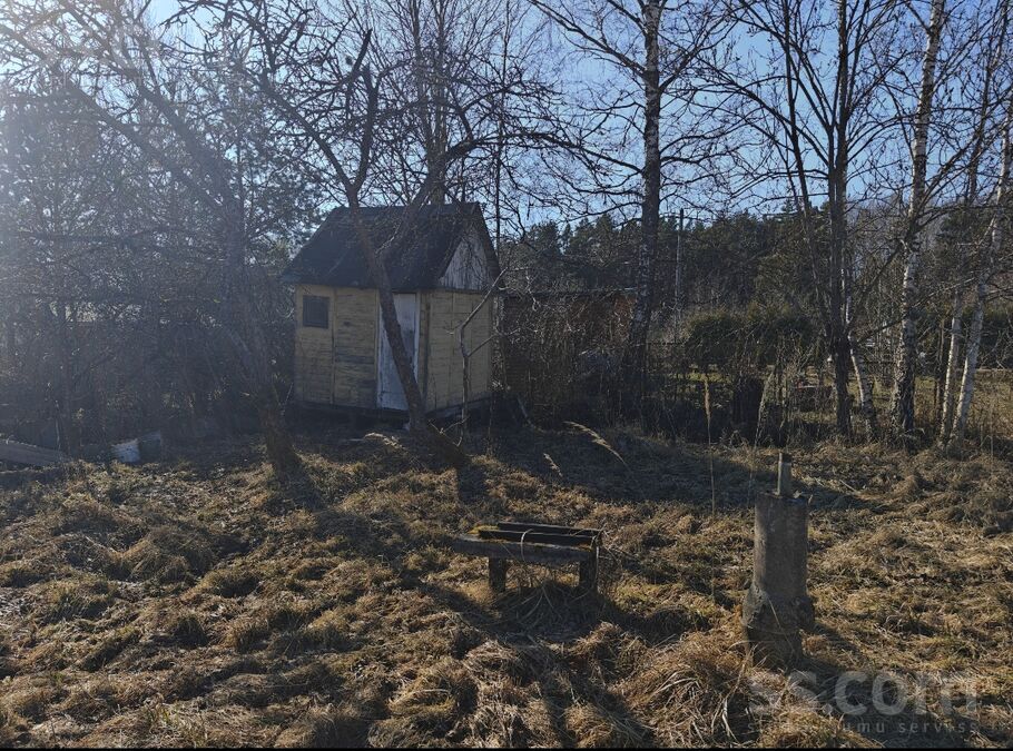 Dalbes 18 158, Rīgas rajons, Olaine — zeme