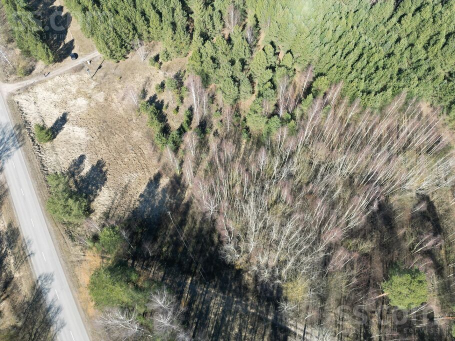 Sauleslejas, Jelgava un raj., Sidrabenes pag. — zeme