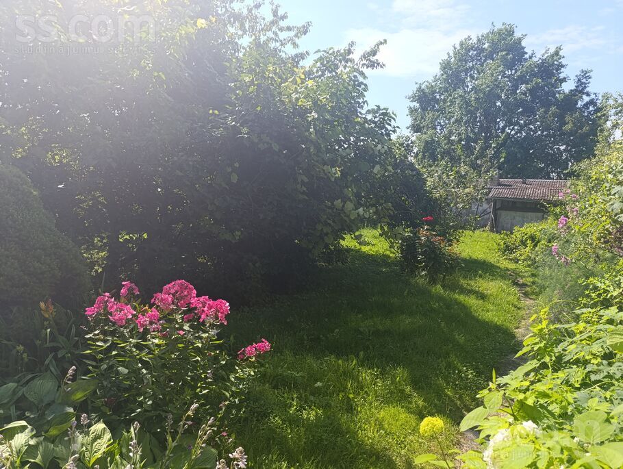 Mežotne, Bauska un raj., Mežotnes pag. — vienseta