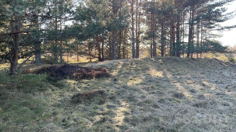 Piški Lōrm, Sīkrags, Talsi un raj., Kolkas pag. — zeme