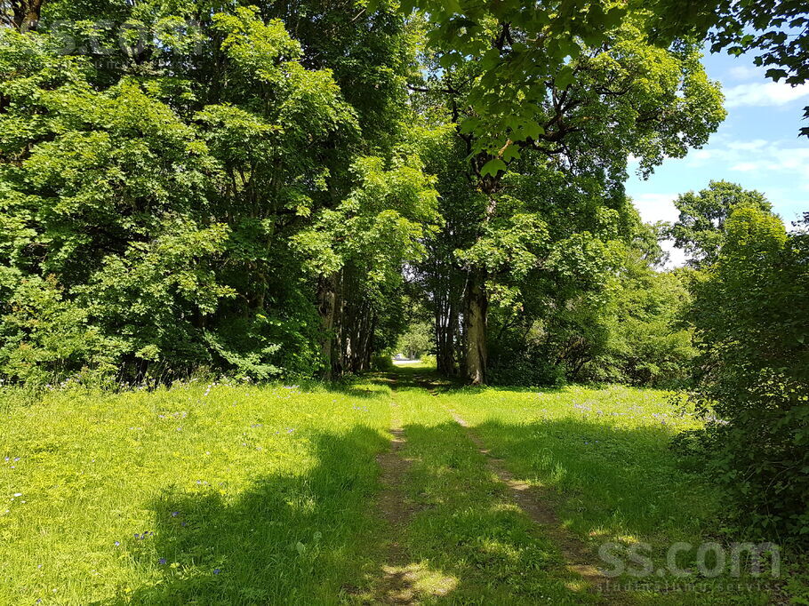 Madliena, Ogre un raj., Madlienas pag. — vienseta