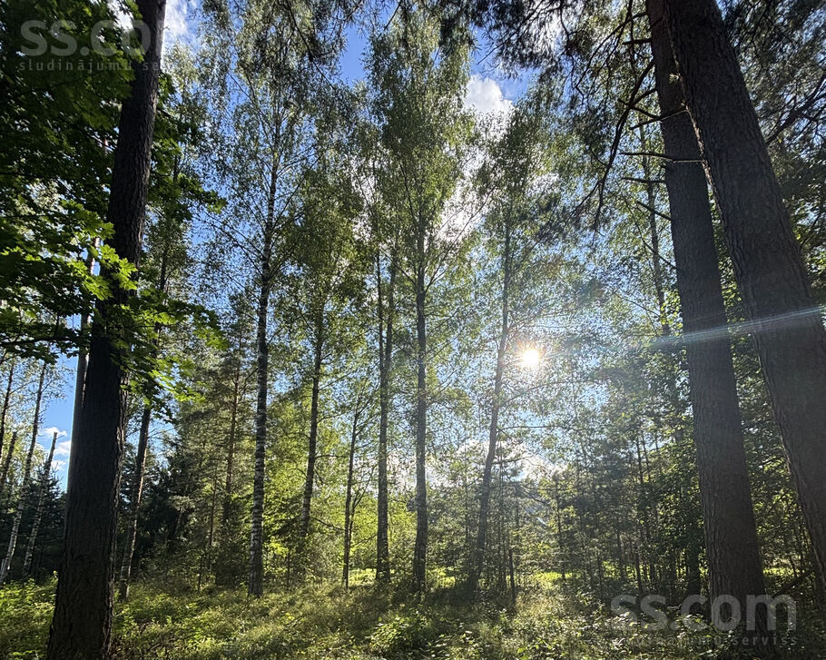 Vālodzes iela 18, Upesciems, Rīgas rajons, Garkalnes nov. — zeme