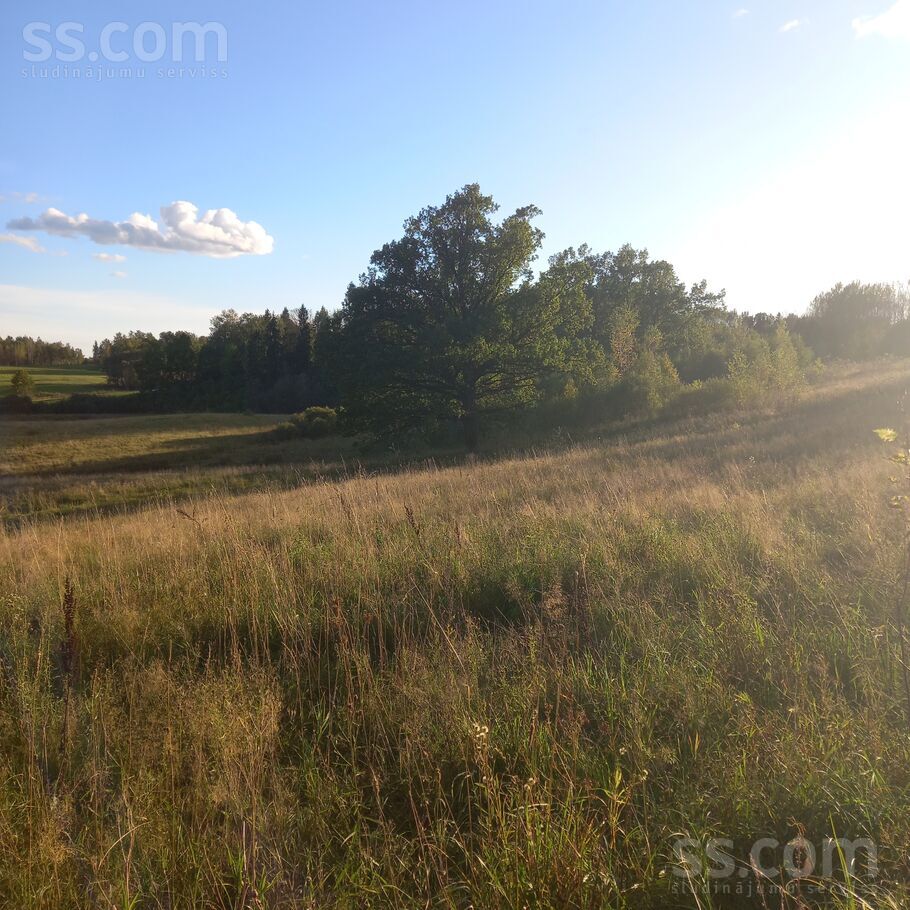 Gaidas, Daugavpils un raj., Vecsalienas pag. — zeme