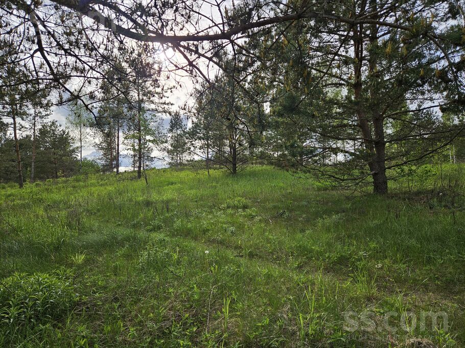 Pieneņu ceļš 19, Ogre un raj., Ogre — zeme